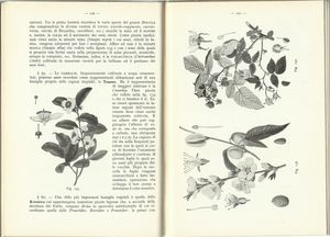 Zoologia - Botanica - Igiene: Ad uso degli Istituti Tecnici superiori
