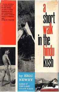 A Short Walk in the Hindu Kush