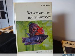 Het Kweken Van Aquariumvissen
