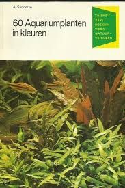 60 Aquariumplanten In Kleuren