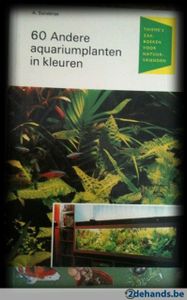 60 Andere Aquariumplanten In Kleur