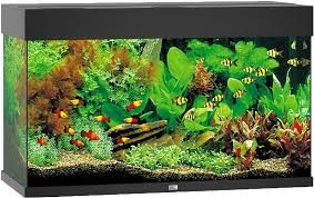 Aquarium