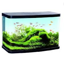 Aquarium