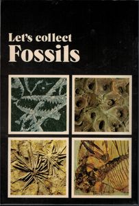 Let's Collect Fossils