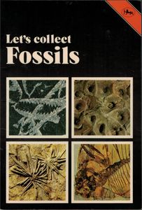 Let's Collect Fossils