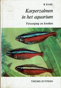 Karperzalmen In Het Aquarium