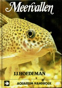 Meervallen