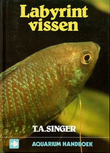 Labyrint Vissen