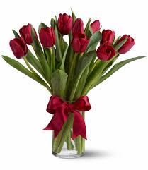 Tulip