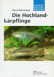 Die Hochland-kärpflinge Goodeidae