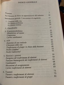 Alle Origini Della Vita