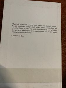Alle Origini Della Vita