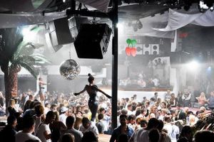 Pacha
