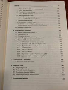 Introduzione Alla Meccanica Quantistica Relativistica