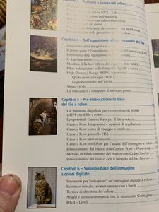 L'Arte Della Fotoelaborazione Digitale A Colori