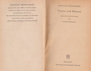 Vision und Ekstase
