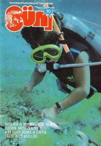 Süni 10