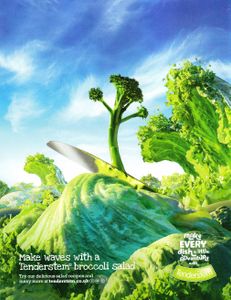 Co-op Food Issue 55
