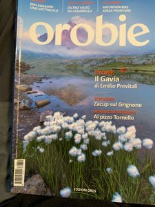 Orobie (n. 312)