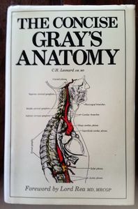 The Concise Gray's Anatomy