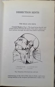 The Concise Gray's Anatomy