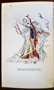 The Concise Gray's Anatomy