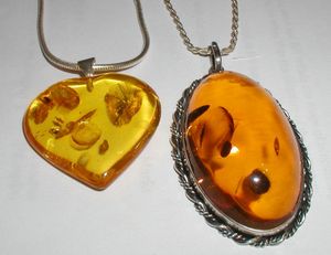 Amber (2)