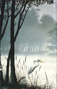 Nevelen van Avalon