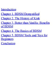 BDSM Playbook: Beginner's Guide (eBook)