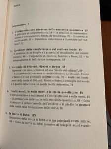 I Gatti Di Schrödinger. Meccanica Quantistica E Visione Del Mondo
