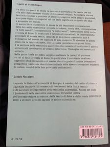 I Gatti Di Schrödinger. Meccanica Quantistica E Visione Del Mondo