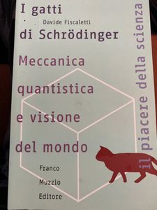 I Gatti Di Schrödinger. Meccanica Quantistica E Visione Del Mondo
