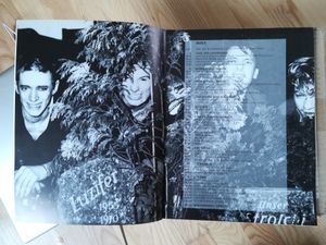 Einstürzende Neubauten, Hör Mit Schmerzen, Listen With Pain