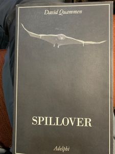 Spillover