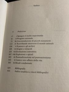 L'Orologiaio Cieco