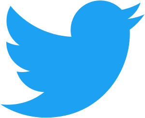 Twitter (Networking Service)