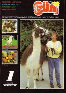 Süni 1989. január