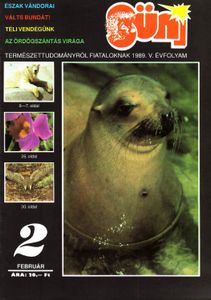 Süni 1989. február