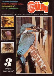 Süni 1989. március