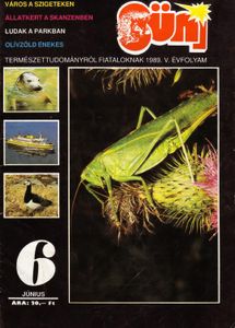 Süni 1989. június