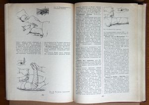 Неотложные состояния и экстренная медицинская помощь. Справочник под редакцией Е. И. Чазова