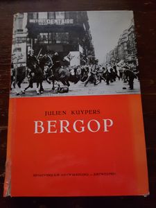 Bergop