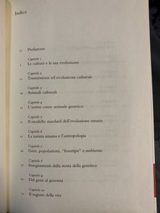 L'Evoluzione Della Cultura