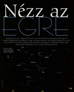 Süni 2003/1.