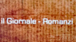 I Romanzi