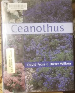 Ceanothus