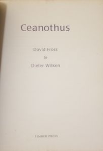 Ceanothus