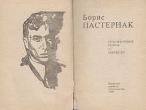 Стихотворения. Поэмы. Переводы