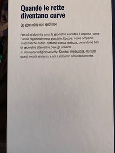Quando Le Rette Diventano Curve. Le Geometrie Non Euclidee
