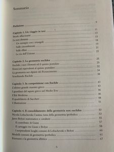 Quando Le Rette Diventano Curve. Le Geometrie Non Euclidee